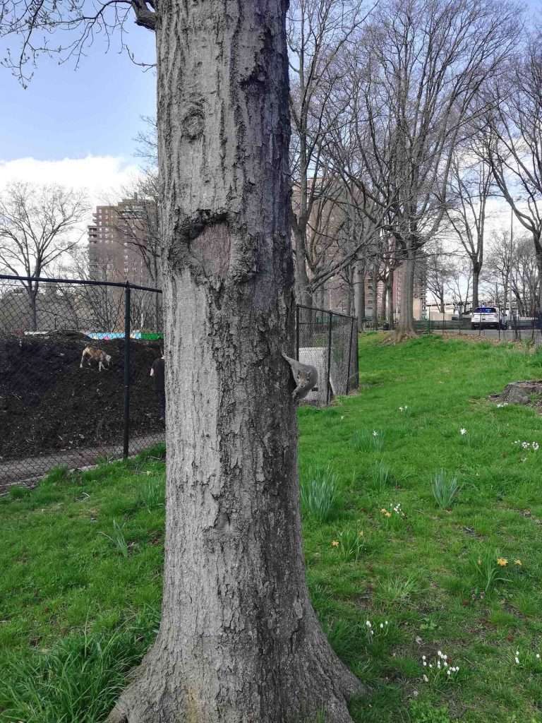 social distancing nyc