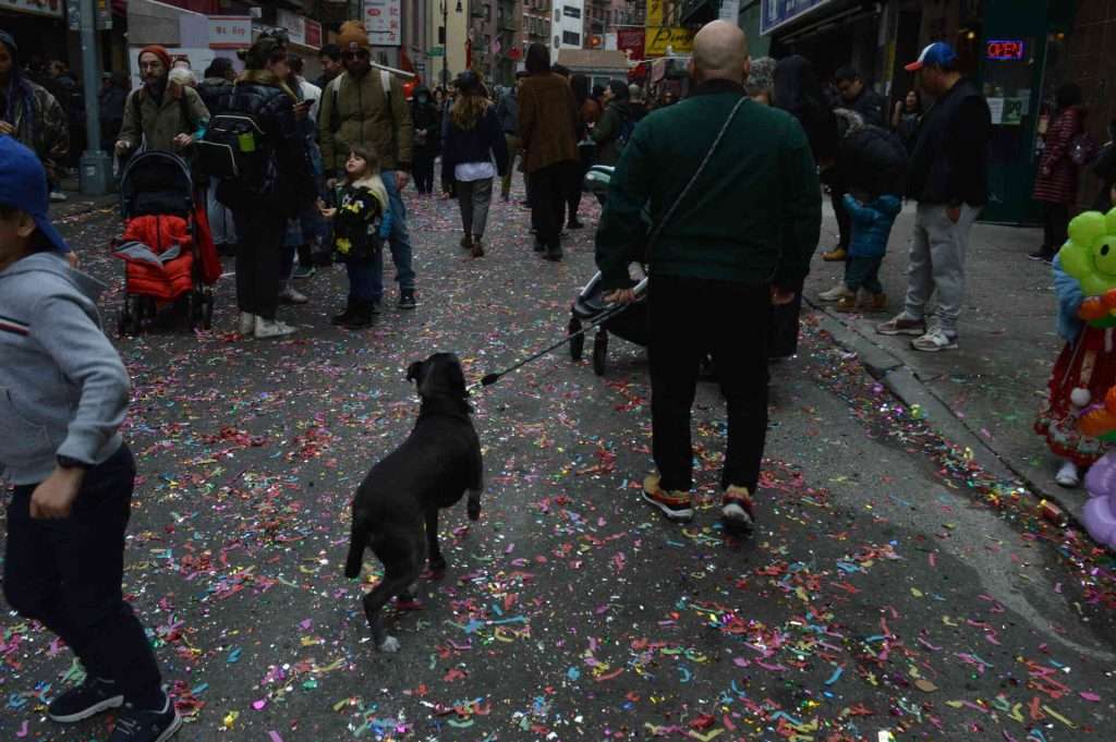 Chinese new year 2024