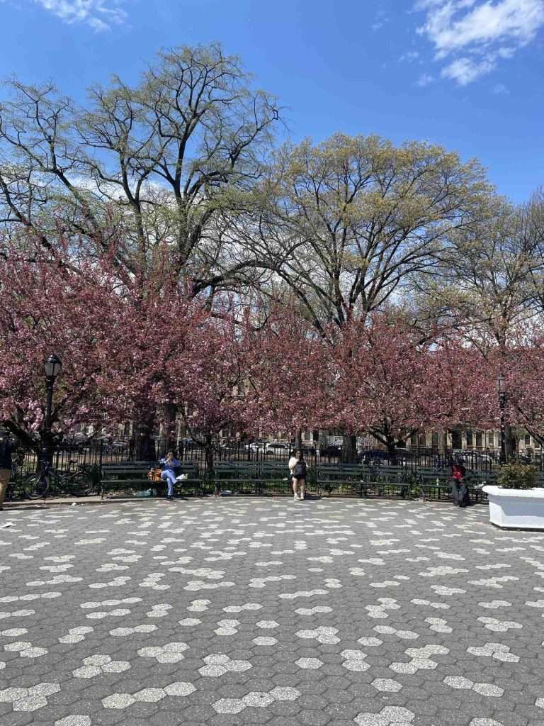 Maria Hernandez park Bushwick