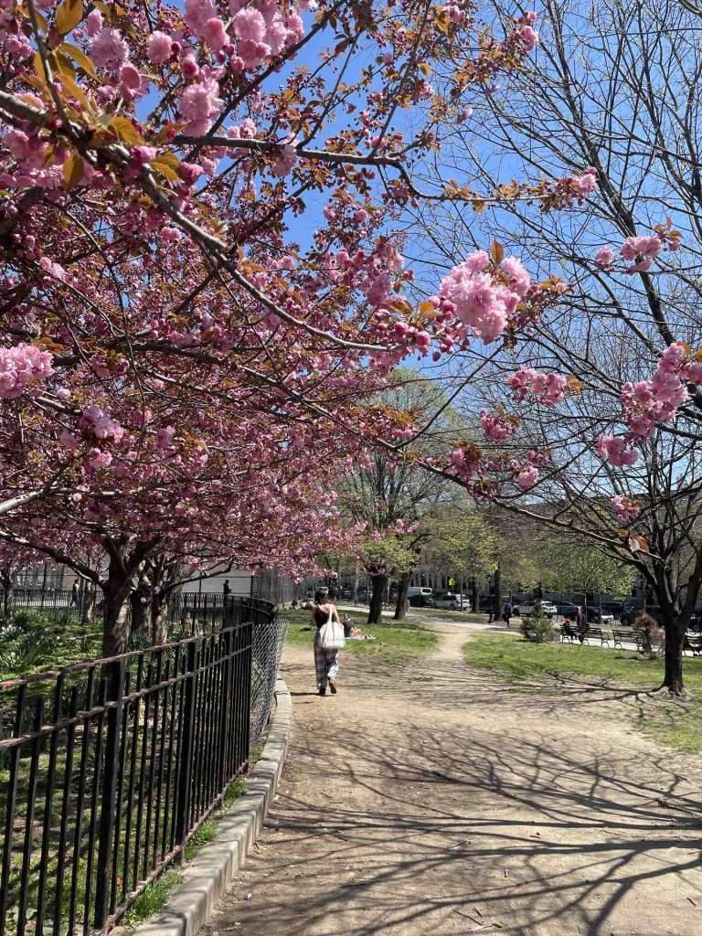 Maria Hernandez park