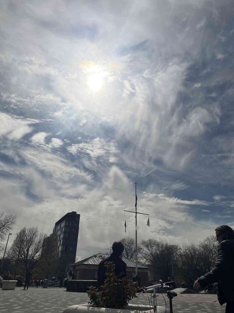 Sun view at park