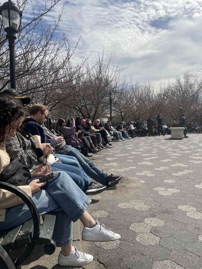 People at park wearing sunglasses
