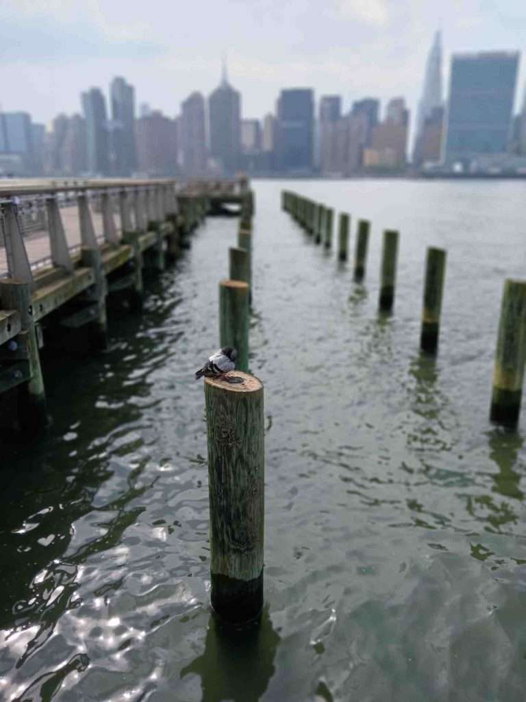 Remains of a pier in LIC New York City