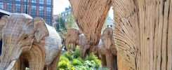 Migration of the Elephants