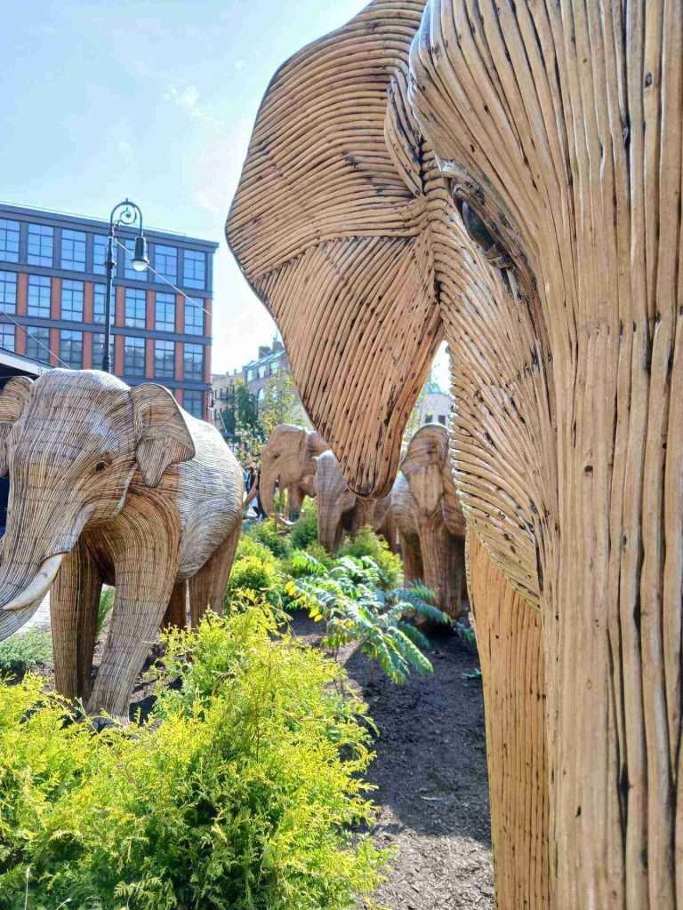 Migration of the Elephants