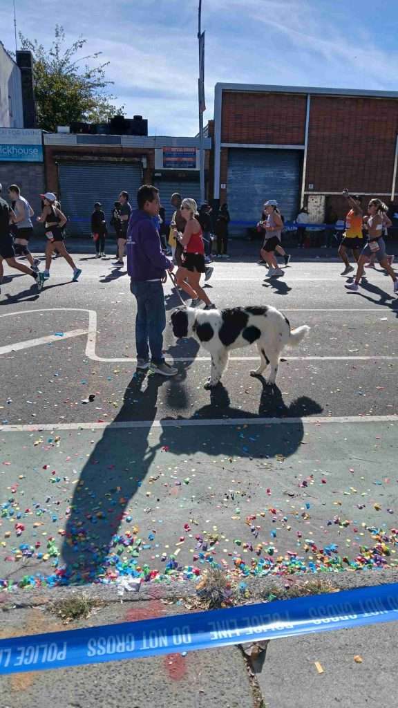 Dog NYC Marathon 2024