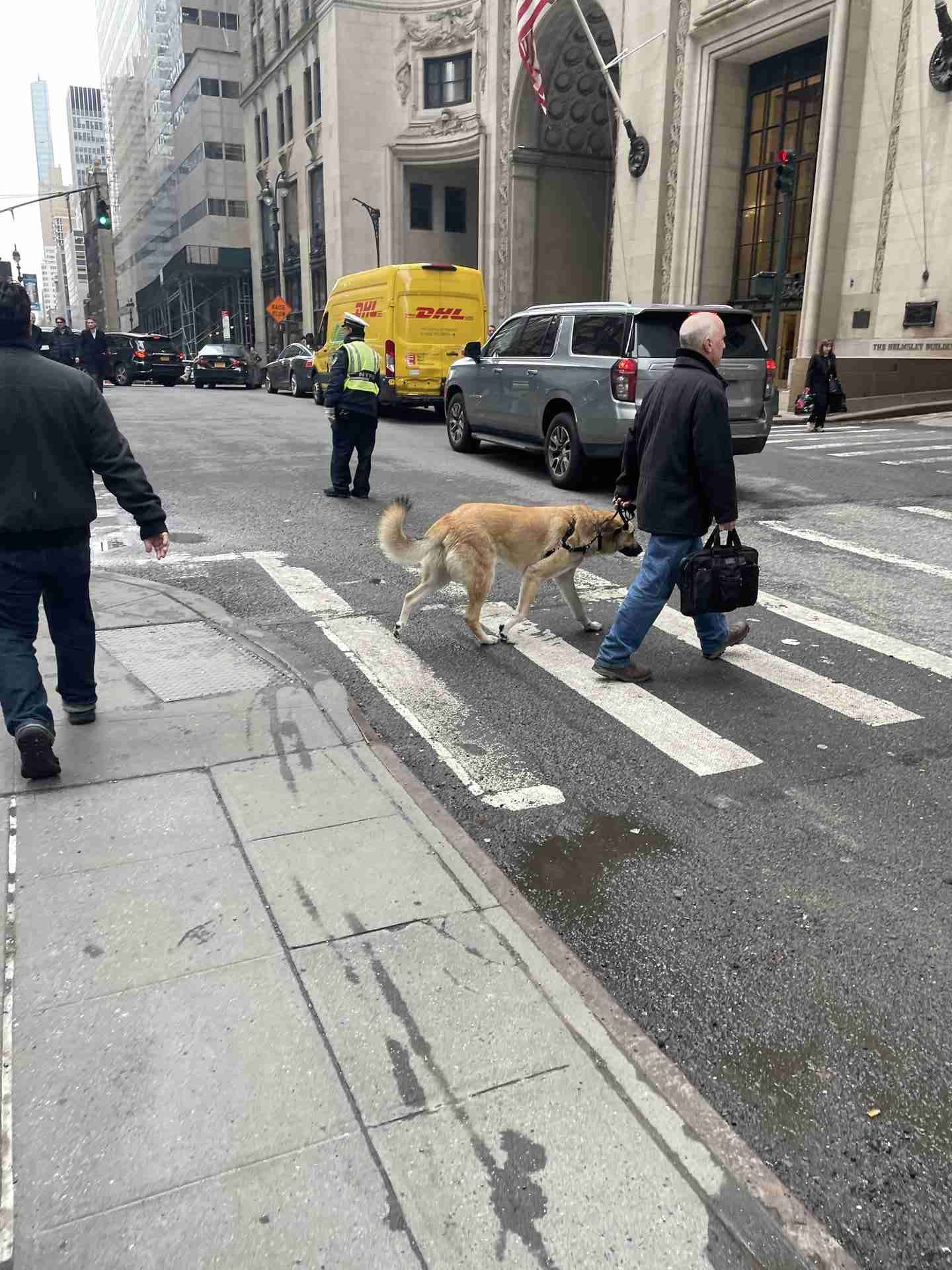 First 24 Hours in NYC