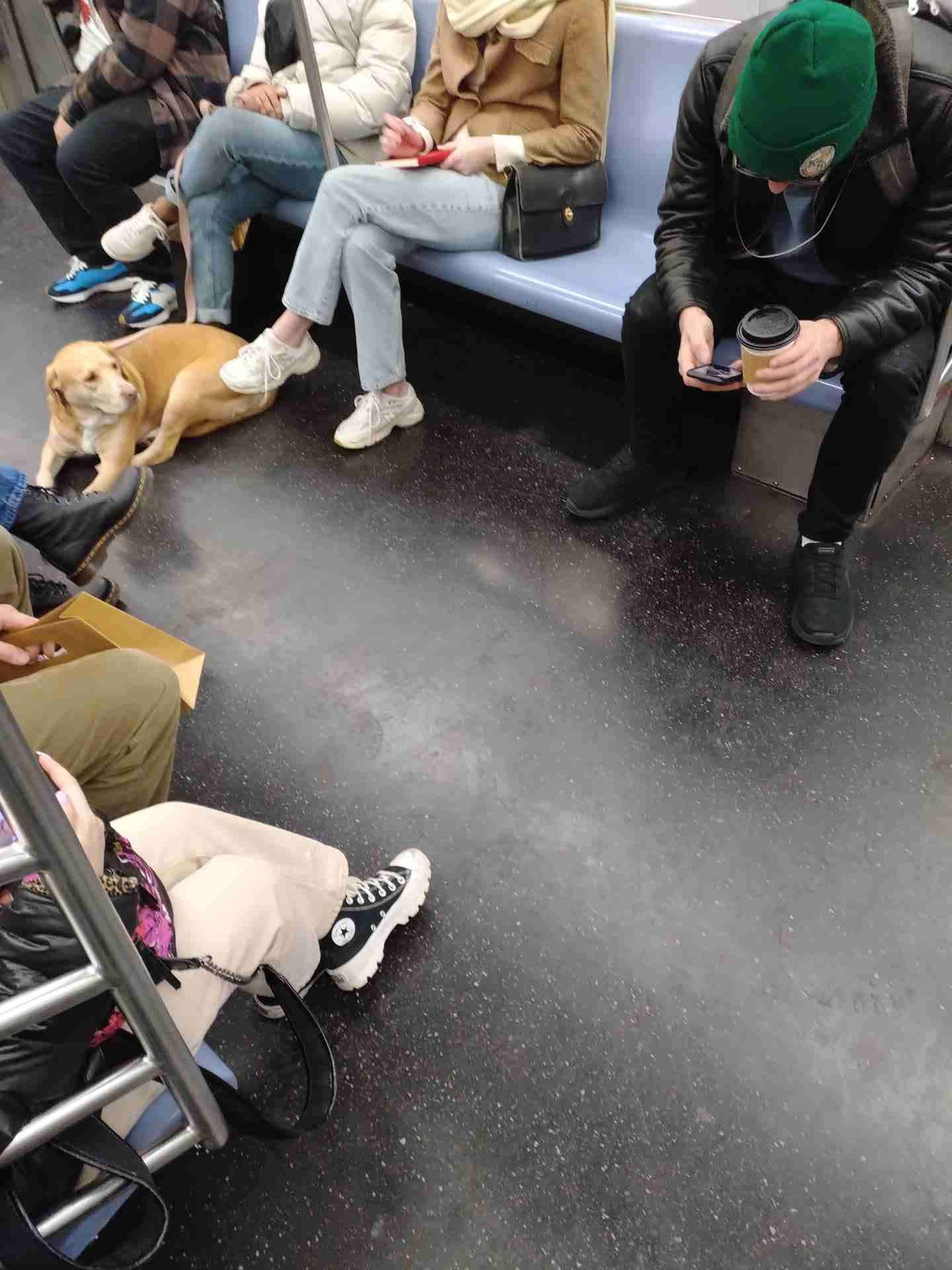 NYC subway guide